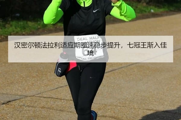 han-mi-er-dun-fa-la-li-shi-ying-qi-quan-su-wen-bu-ti-sheng-qi-guan-wang-jian-ru-jia-jing-2-315.jpg