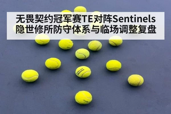 无畏契约冠军赛TE对阵Sentinels隐世修所防守体系与临场调整复盘